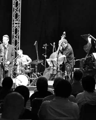 Jeff Goldblum And The Mildred Snitzer Orchestra Phoenix