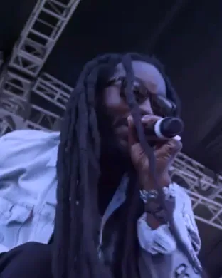 Arise Roots Phoenix