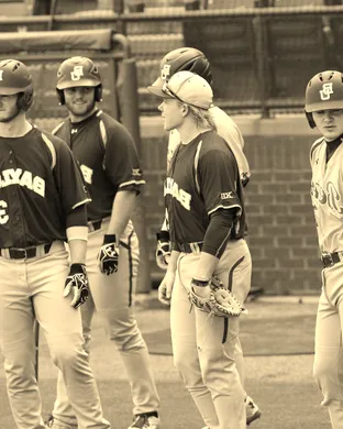 Baylor Bears Baseball Phoenix