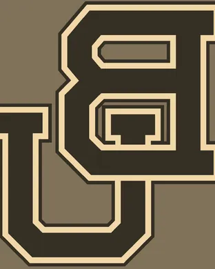 Baylor Bears Phoenix