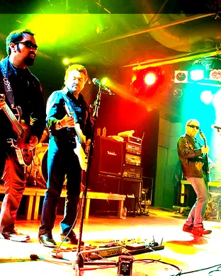 Blue Oyster Cult Phoenix