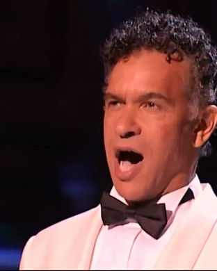 Brian Stokes Mitchell Phoenix