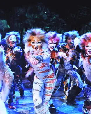 Cats - The Musical Peoria