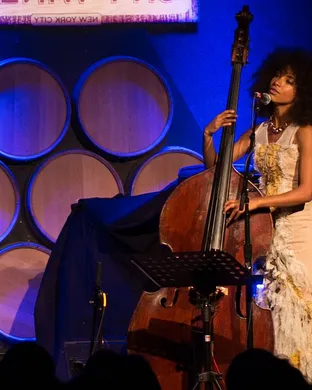 Esperanza Spalding Phoenix