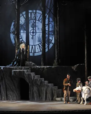 Into The Woods Phoenix