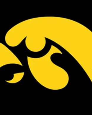 Iowa Hawkeyes Phoenix