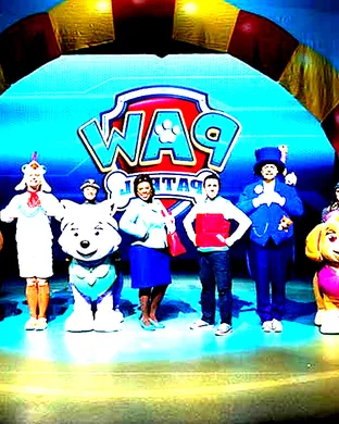 Paw Patrol Live Phoenix