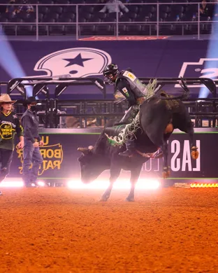 Pbr - Professional Bull Riders Glendale