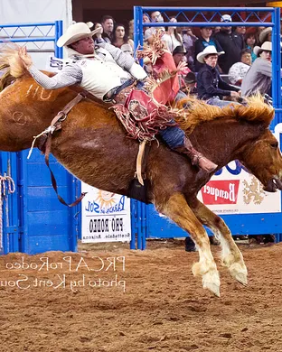Rodeo Scottsdale