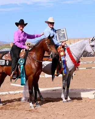 Scottsdale Arabian Horse Show