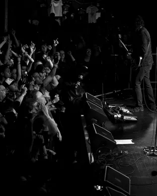 The Pretty Reckless Phoenix