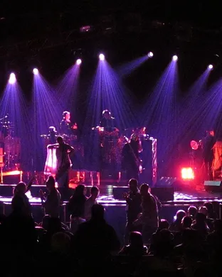 Thievery Corporation