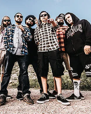 Tribal Seeds Phoenix