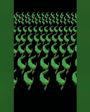 Worm Mesa